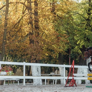 U Feričancima započelo peto izdanje Međunarodnog konjičkog turnira