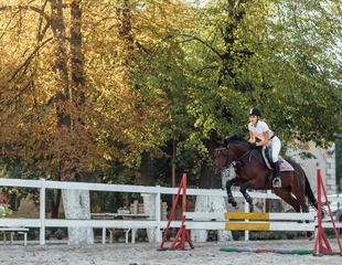 U Feričancima započelo peto izdanje Međunarodnog konjičkog turnira