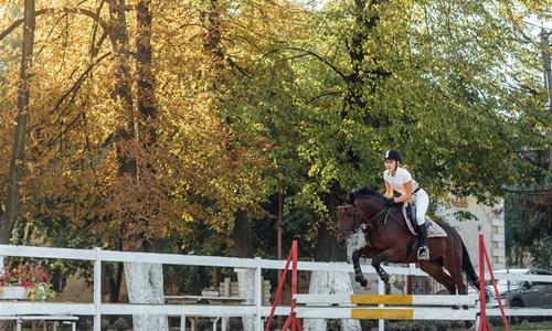 U Feričancima započelo peto izdanje Međunarodnog konjičkog turnira