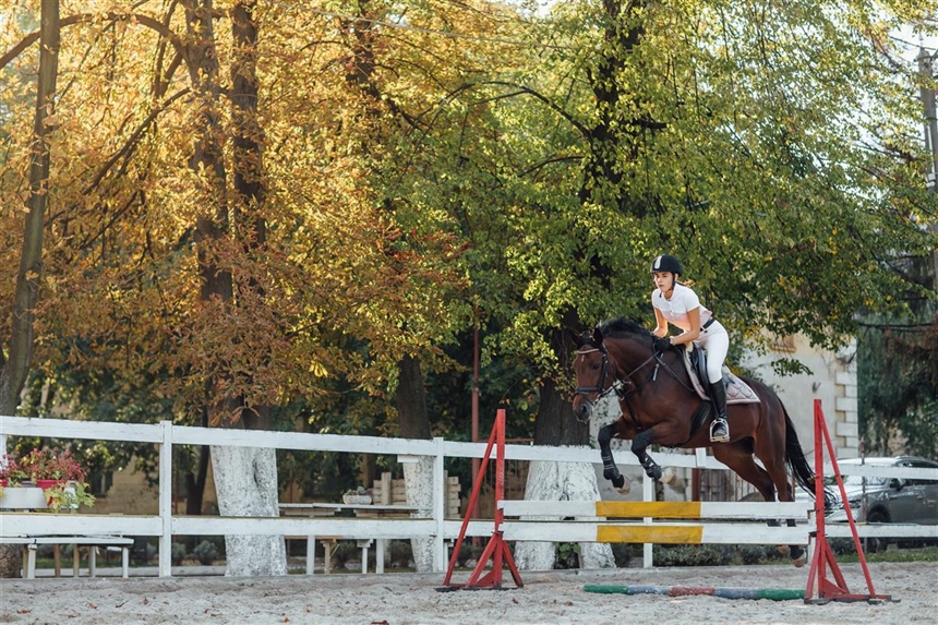 U Feričancima započelo peto izdanje Međunarodnog konjičkog turnira
