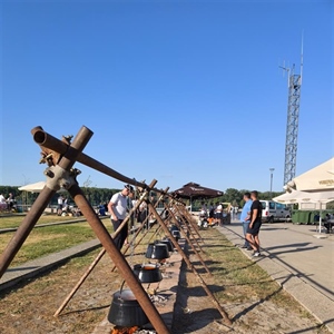 Prijavite ekipu i skuhajte najbolji fiš na Dunav Festu