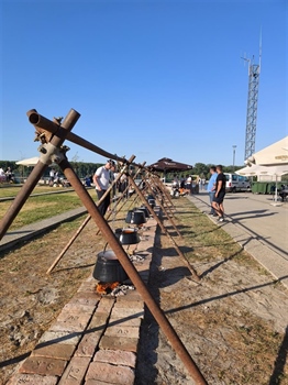 Prijavite ekipu i skuhajte najbolji fiš na Dunav Festu