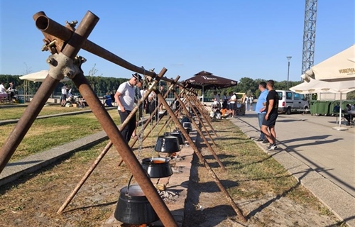 Prijavite ekipu i skuhajte najbolji fiš na Dunav Festu