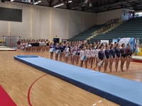 Svečano je otvoren međunarodni gimnastički turnir 3. Vukovar kup