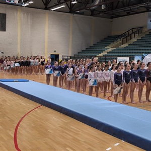 Svečano je otvoren međunarodni gimnastički turnir 3. Vukovar kup