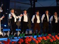 Bećarac ponovno okuplja Slavoniju: Večeras veliko finale 14. Bećarfesta...