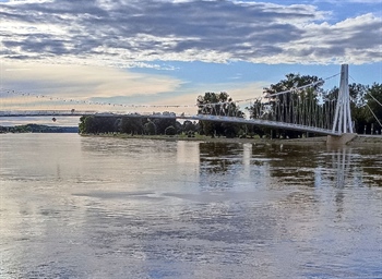 Drava kod Osijeka u porastu