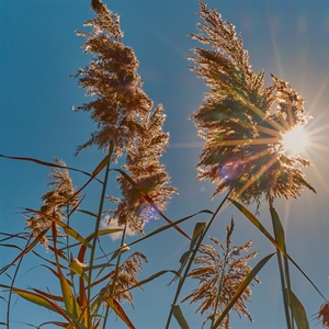 Ljeto je stiglo: Najduži je dan u godini