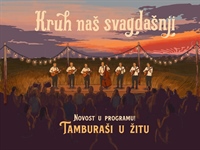 Tamburaši sele među zlatna polja: Županja dobiva jedinstveni koncert u žitu
