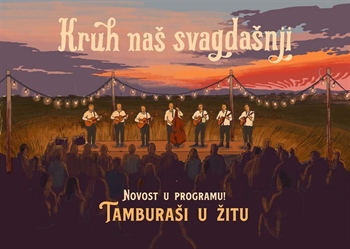 Tamburaši sele među zlatna polja: Županja dobiva jedinstveni koncert u žitu