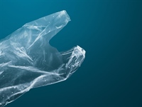 Unatoč većoj potrošnji vrećica po stanovniku, količina plastike na...