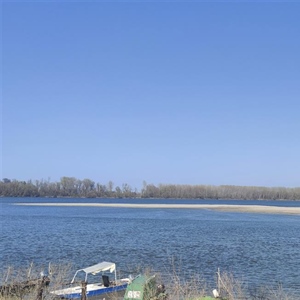 Dunav i Drava na rekordno niskim razinama: Stručnjaci upozoravaju na...