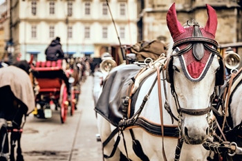 Otvoren poziv za sudjelovanje na Reviji konjskih zaprega i konjanika 61. Vinkovačkih jeseni
