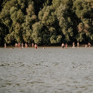 Vukovarska ada privlači stotine kupača dnevno: „Dolaze nam posjetitelji...