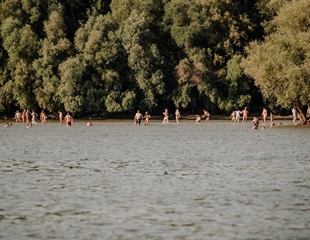 Vukovarska ada privlači stotine kupača dnevno: „Dolaze nam posjetitelji...