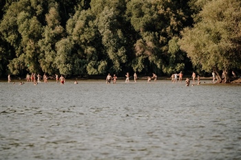 Vukovarska ada privlači stotine kupača dnevno: „Dolaze nam posjetitelji iz cijele Hrvatske i inozemstva“