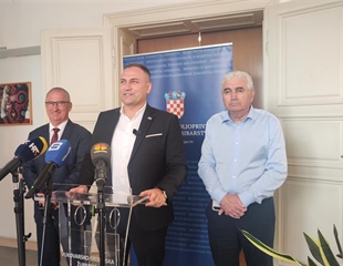 Vukovarsko-srijemska županija i dalje bez afričke svinjske kuge,...