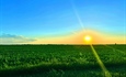 DHMZ upozorava na dugotrajan toplinski val: Temperature do 40 stupnjeva, na snazi crvena upozorenja