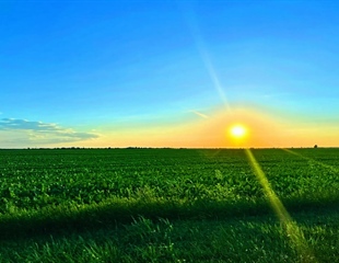 DHMZ upozorava na dugotrajan toplinski val: Temperature do 40...