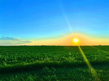 DHMZ upozorava na dugotrajan toplinski val: Temperature do 40 stupnjeva, na snazi crvena upozorenja