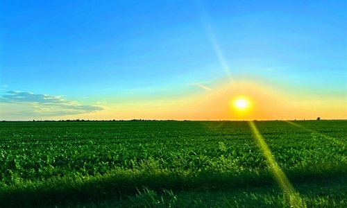 DHMZ upozorava na dugotrajan toplinski val: Temperature do 40...