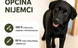 Općina Nijemci nastavlja sufinancirati kastraciju, sterilizaciju i mikročipiranje pasa i mačaka