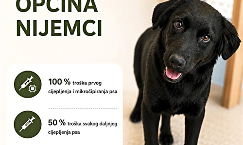Općina Nijemci nastavlja sufinancirati kastraciju, sterilizaciju i...