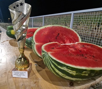U Soljanima izabrana najslađa lubenica 2026.