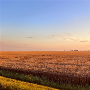 RuralFoto 2026.: Traže se fotografije koje pričaju priču o životu na selu