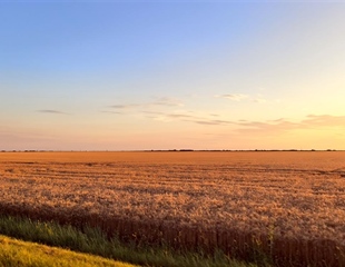 RuralFoto 2026.: Traže se fotografije koje pričaju priču o životu na selu
