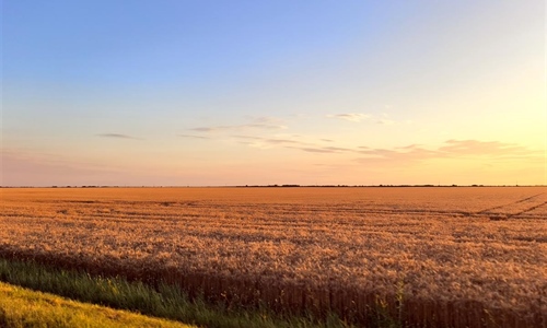 RuralFoto 2026.: Traže se fotografije koje pričaju priču o životu na selu