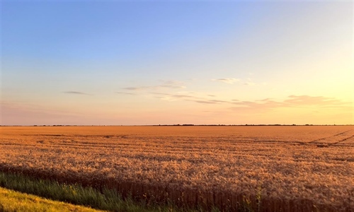 RuralFoto 2026.: Traže se fotografije koje pričaju priču o životu na selu