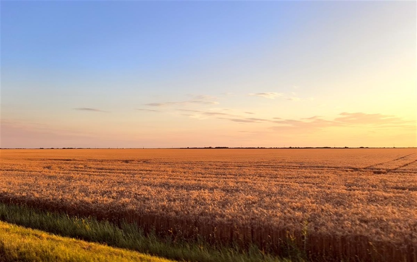 RuralFoto 2026.: Traže se fotografije koje pričaju priču o životu na selu