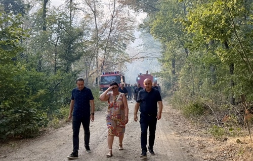 Požarište kod Iloka obišli župan Ivan Bosančić i gradonačelnica Renata...