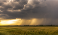 Žuti meteoalarm za Slavoniju: Poslijepodne mogući jači pljuskovi i grmljavina