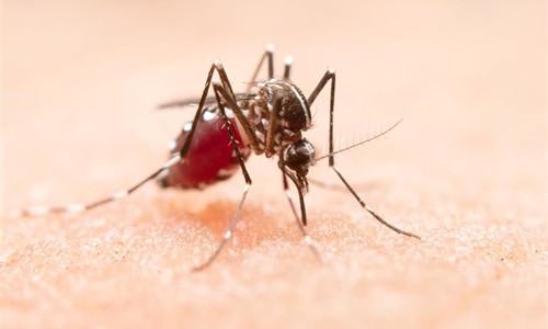 Virus Zapadnog Nila: oprez je potreban, panika nije