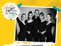 Vinkovci: Koncert Borna Šercar & Harpije – „Croatian Folkdrum“