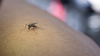 U Hrvatskoj deset infekcija virusom Zapadnog Nila, šest osoba hospitalizirano