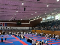 Uspješni nastupi članova Karate kluba Vukovar '91