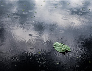Olujno nevrijeme zahvatilo Osječko-baranjsku županiju