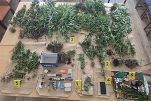 Policija pronašla zasađenu indijsku konoplju