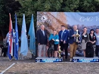 A Dark Temptation van de Duca Vallei najljepši pas 20. CAC-HR Vukovar 2026.