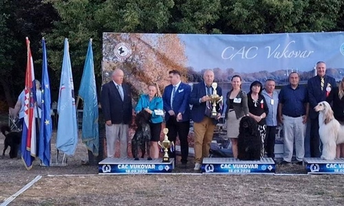 A Dark Temptation van de Duca Vallei najljepši pas 20. CAC-HR Vukovar 2026.
