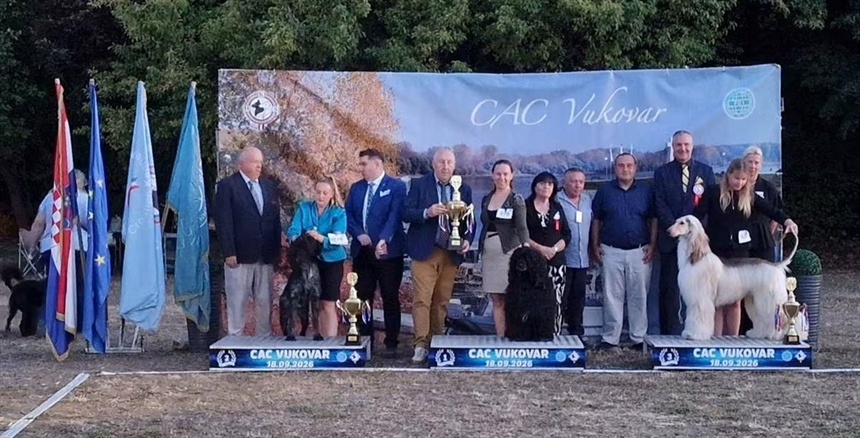 A Dark Temptation van de Duca Vallei najljepši pas 20. CAC-HR Vukovar 2026.