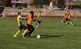Radnički - Rusin 4:4, Dunav – Mohovo 3:3