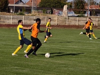 Radnički - Rusin 4:4, Dunav – Mohovo 3:3