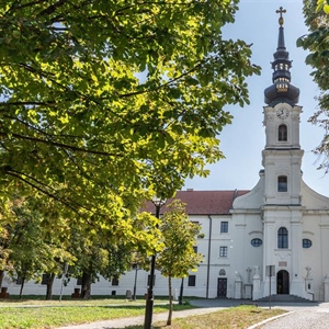 Kvizom znanja pomažu Vukovarskim leptirićima
