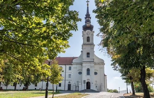 Kvizom znanja pomažu Vukovarskim leptirićima
