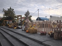 Vukovar ovog vikenda u znaku tradicije i običaja