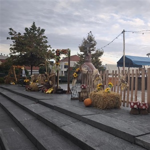 Vukovar ovog vikenda u znaku tradicije i običaja